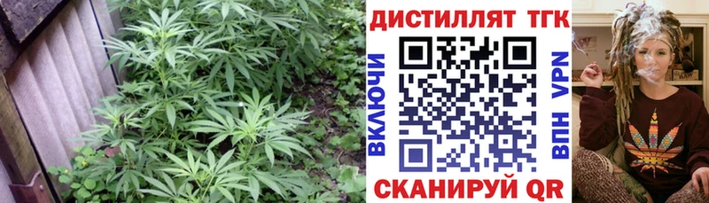 Купить где  Красновишерск  ТГК гашишное масло 